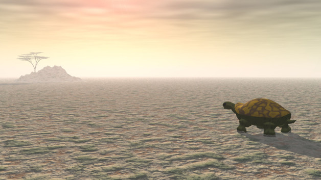 paciencia-sm-628x353